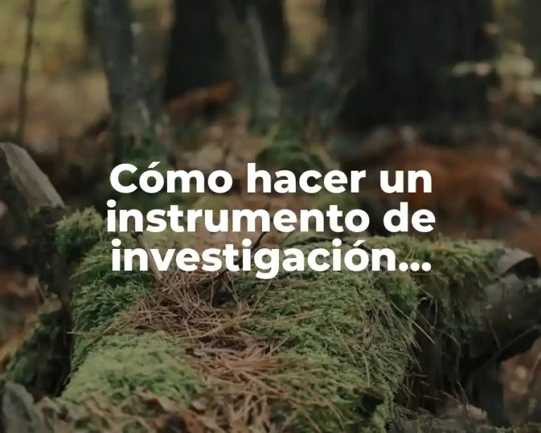 Cómo hacer un instrumento de investigación cualitativa