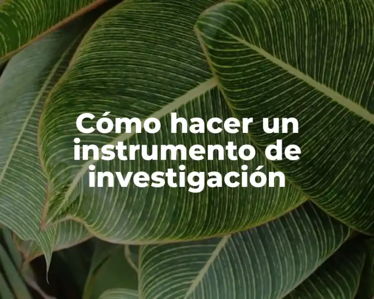 Cómo hacer un instrumento de investigación