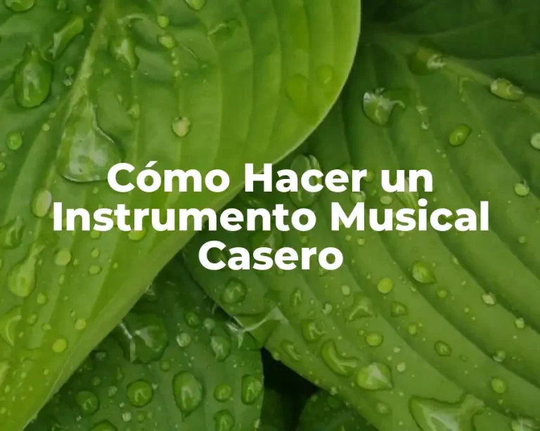 Cómo Hacer un Instrumento Musical Casero