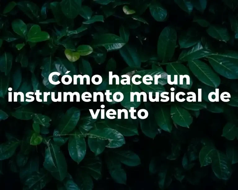 Cómo hacer un instrumento musical de viento