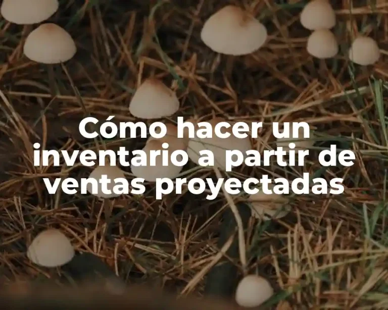 Cómo hacer un inventario a partir de ventas proyectadas