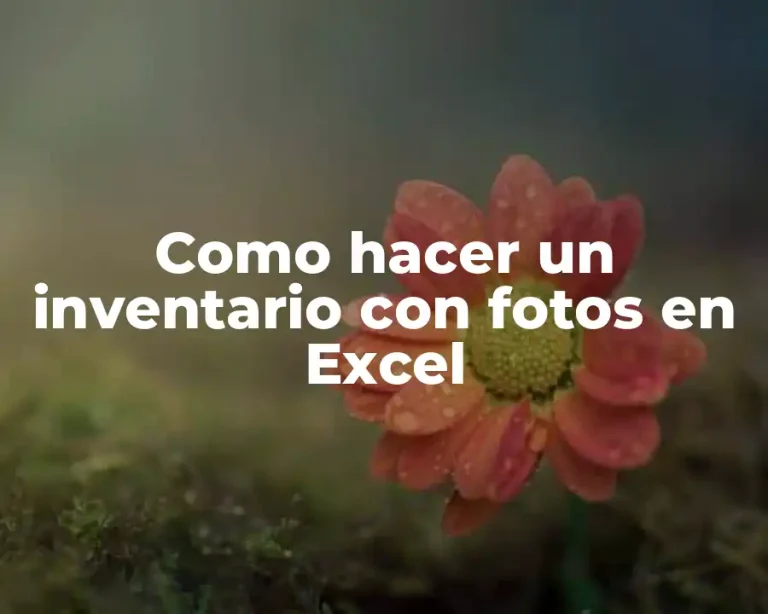 Como hacer un inventario con fotos en Excel