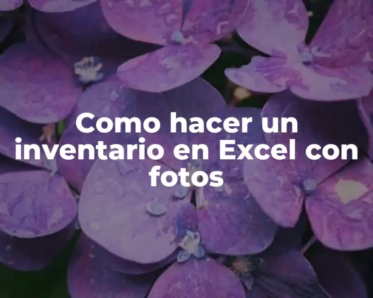 Como hacer un inventario en Excel con fotos
