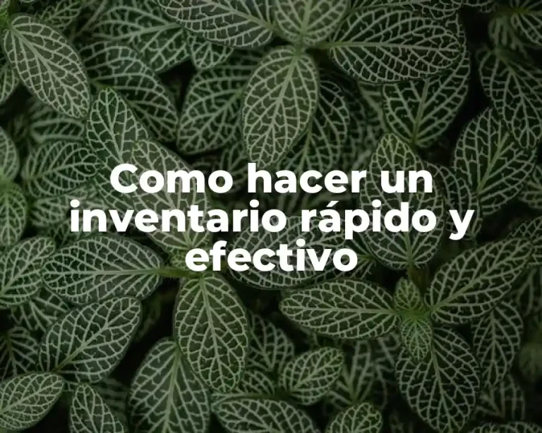 Como hacer un inventario rápido y efectivo