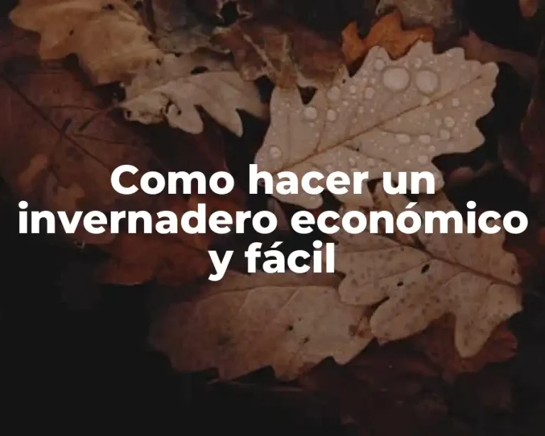 Como hacer un invernadero económico y fácil