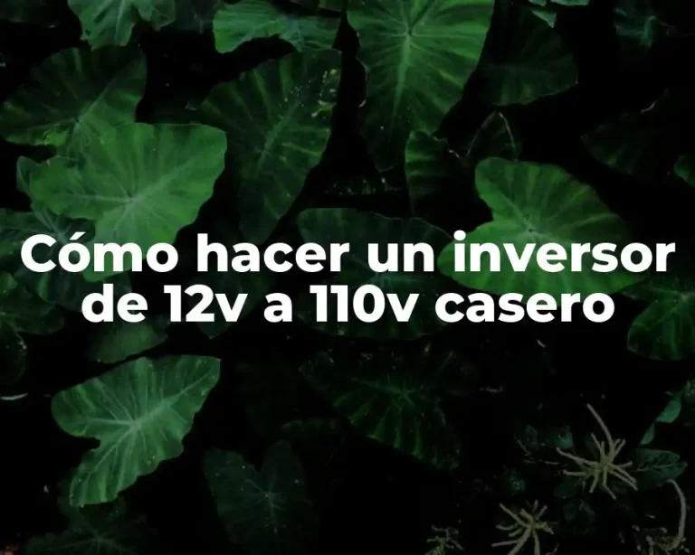 Cómo hacer un inversor de 12v a 110v casero