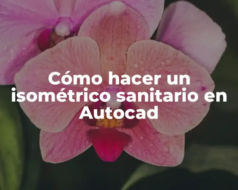 Cómo hacer un isométrico sanitario en Autocad
