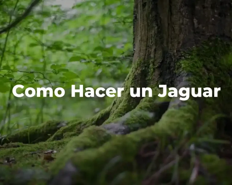 Como Hacer un Jaguar