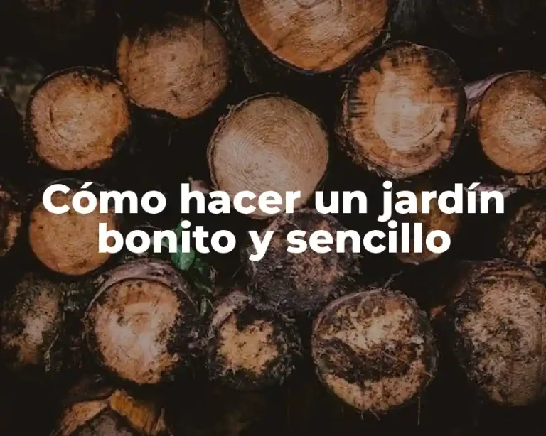 Cómo hacer un jardín bonito y sencillo
