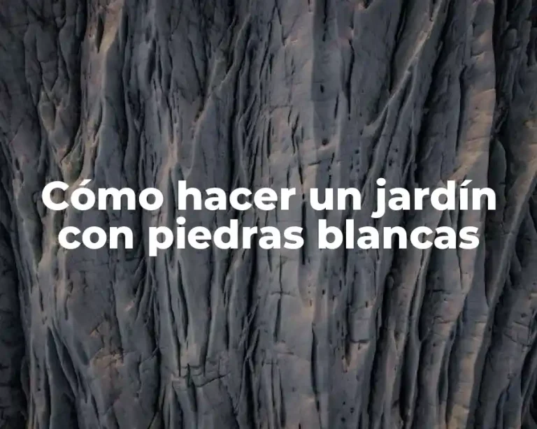 Cómo hacer un jardín con piedras blancas