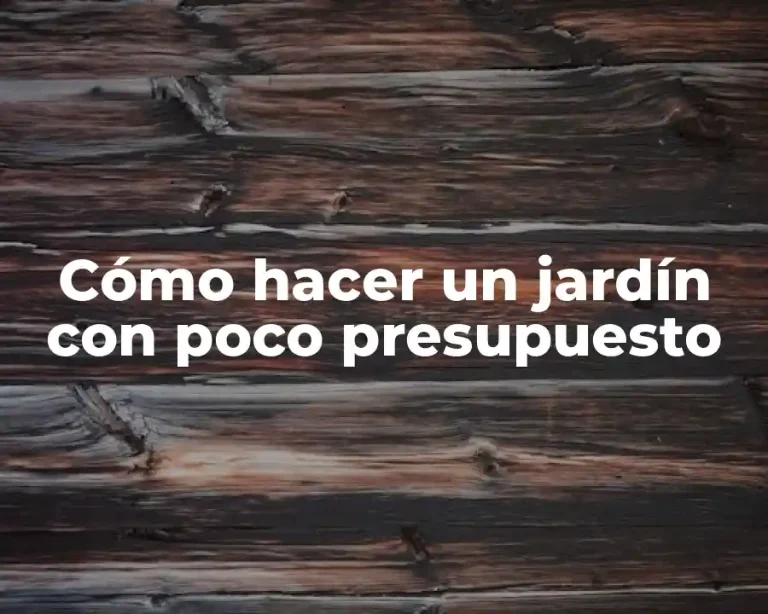 Cómo hacer un jardín con poco presupuesto