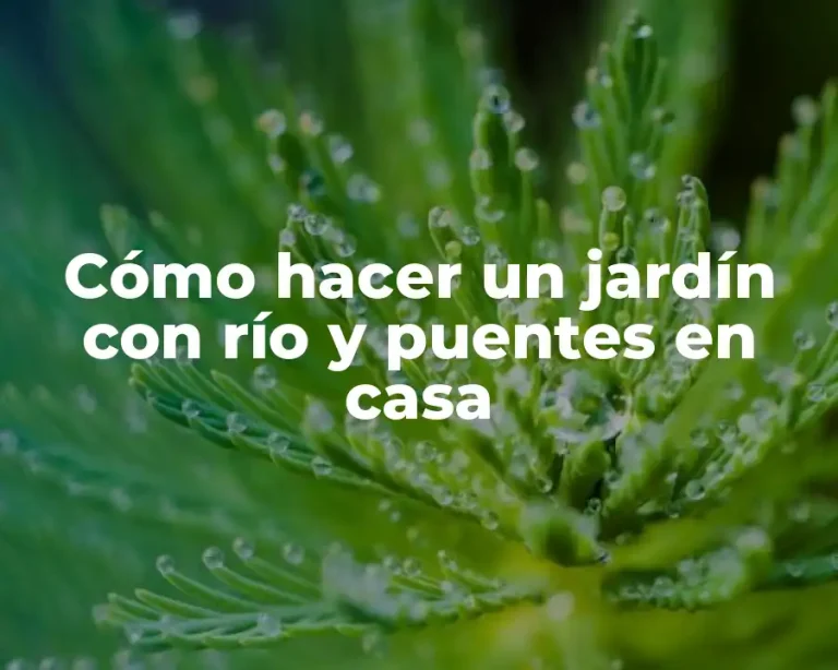Cómo hacer un jardín con río y puentes en casa