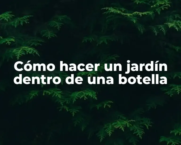 Cómo hacer un jardín dentro de una botella