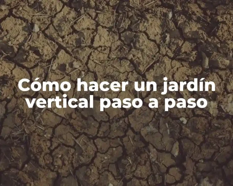 Cómo hacer un jardín vertical paso a paso