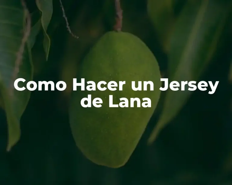 Como Hacer un Jersey de Lana