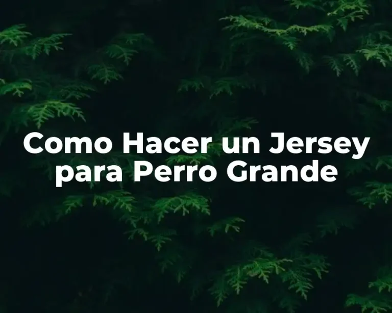 Como Hacer un Jersey para Perro Grande
