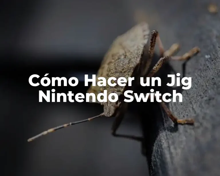 Cómo Hacer un Jig Nintendo Switch