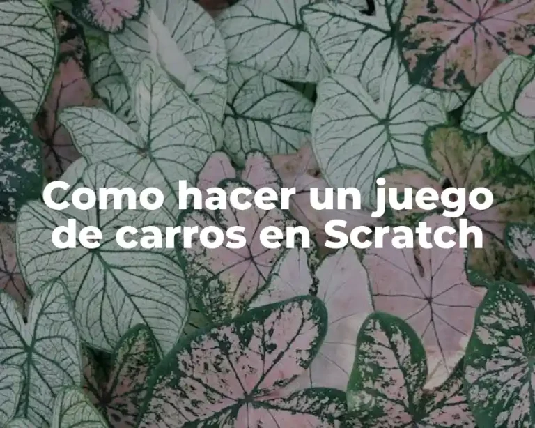 Como hacer un juego de carros en Scratch