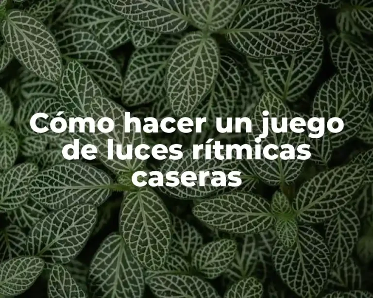 Cómo hacer un juego de luces rítmicas caseras