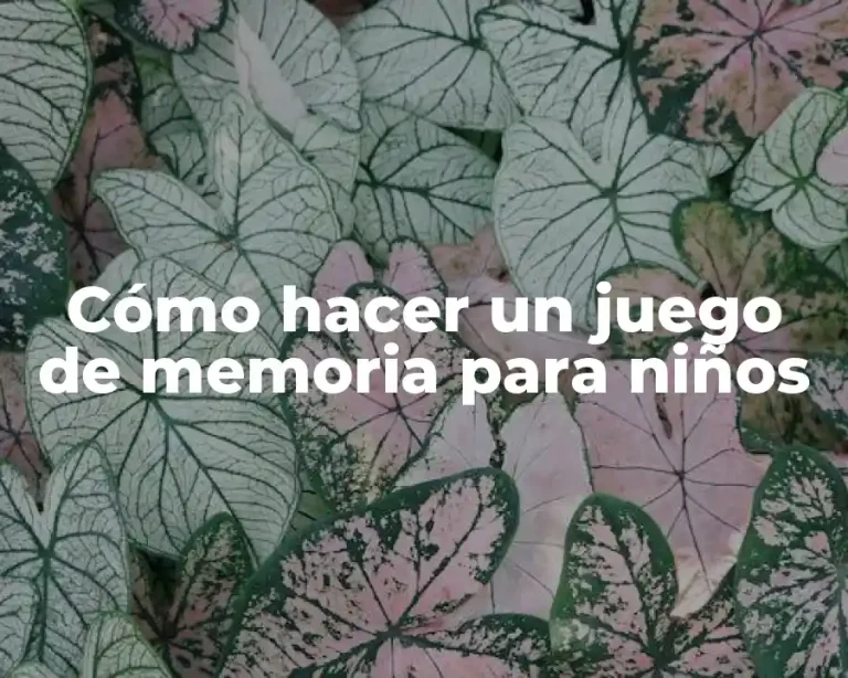 Cómo hacer un juego de memoria para niños