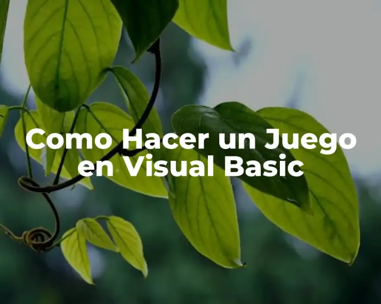 Como Hacer un Juego en Visual Basic