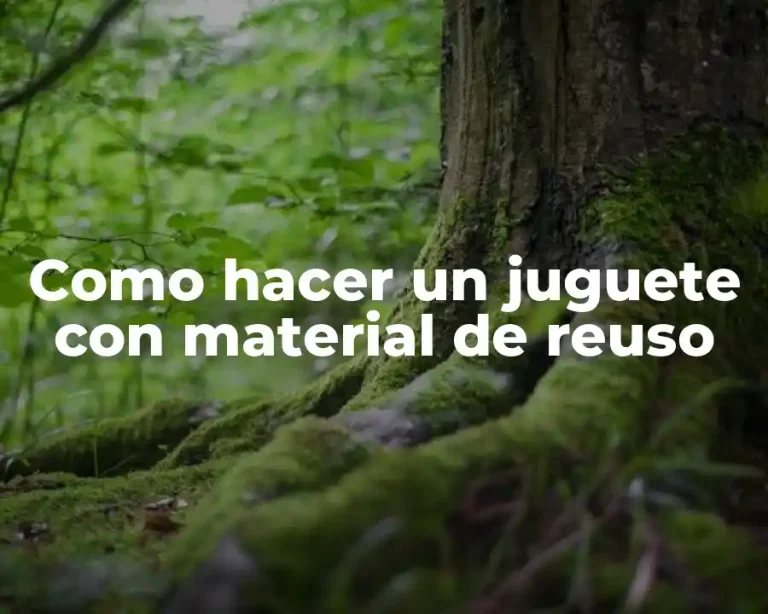 Como hacer un juguete con material de reuso