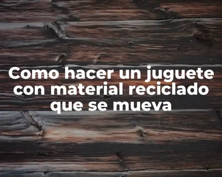 Como hacer un juguete con material reciclado que se mueva
