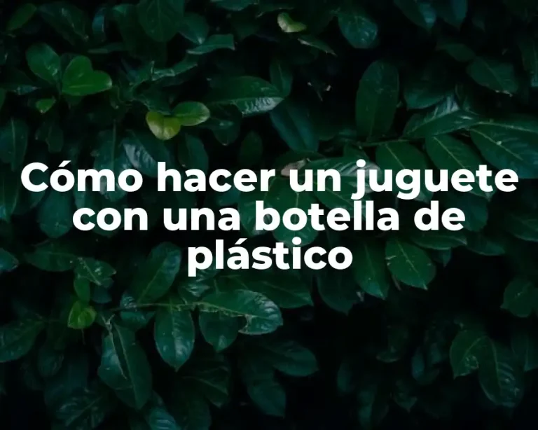 Cómo hacer un juguete con una botella de plástico