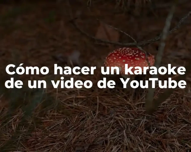 Cómo hacer un karaoke de un video de YouTube