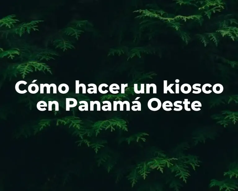 Cómo hacer un kiosco en Panamá Oeste