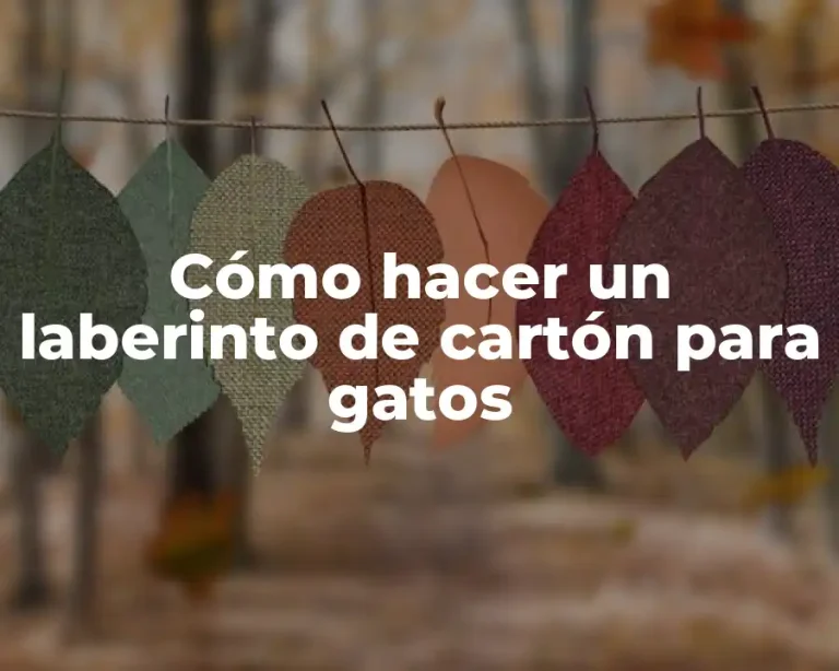 Cómo hacer un laberinto de cartón para gatos