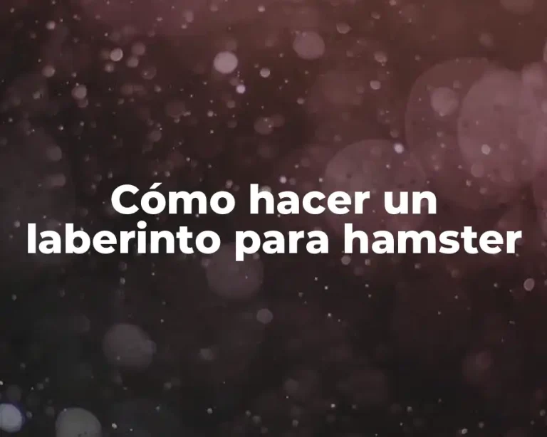 Cómo hacer un laberinto para hamster