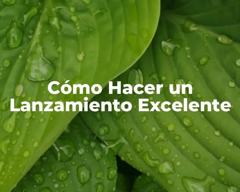 Cómo Hacer un Lanzamiento Excelente