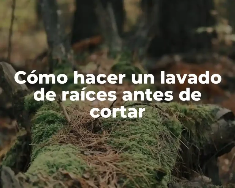 Cómo hacer un lavado de raíces antes de cortar