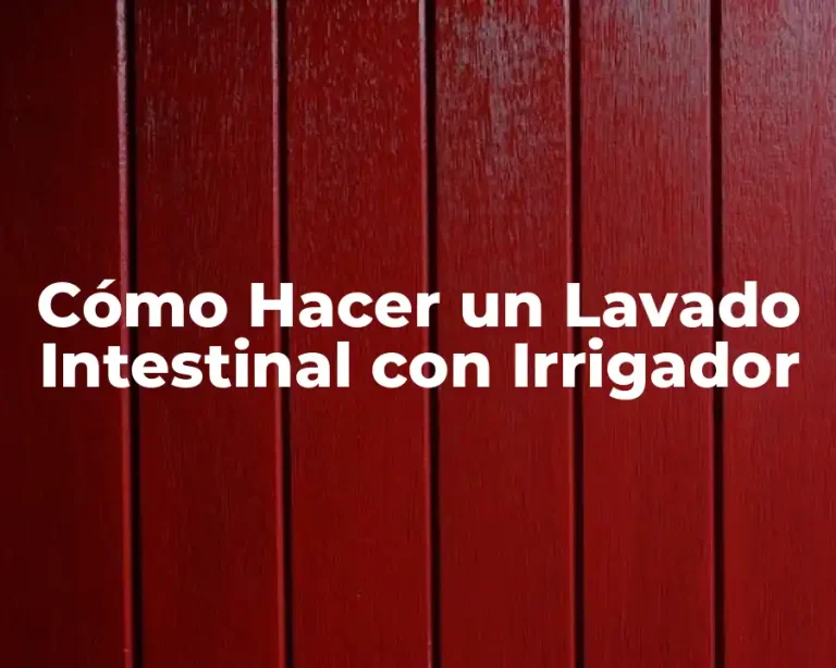 Cómo Hacer un Lavado Intestinal con Irrigador