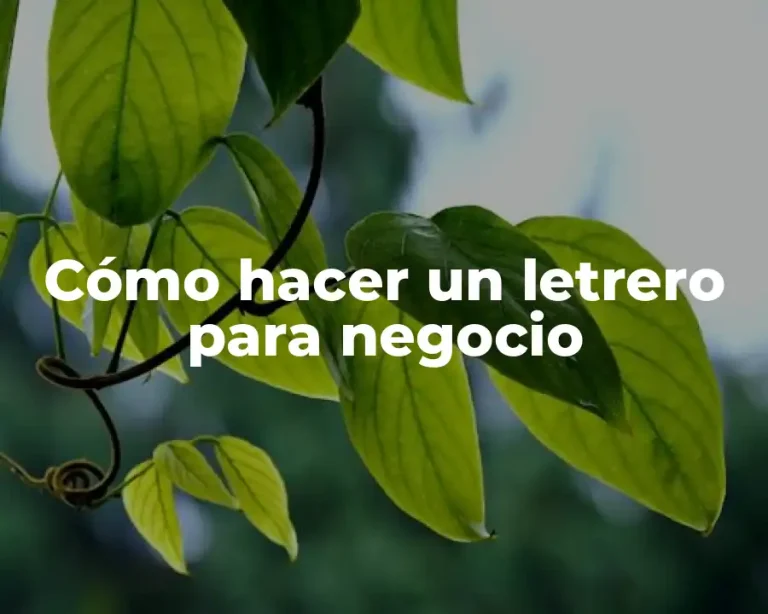 Cómo hacer un letrero para negocio