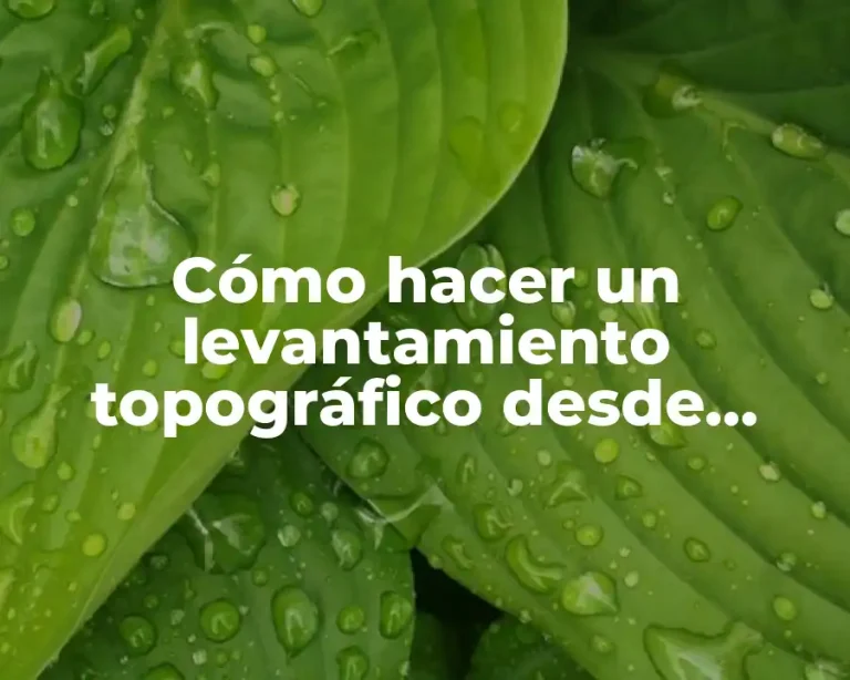 Cómo hacer un levantamiento topográfico desde Google Earth