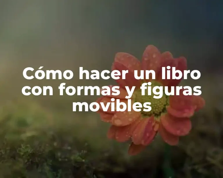 Cómo hacer un libro con formas y figuras movibles