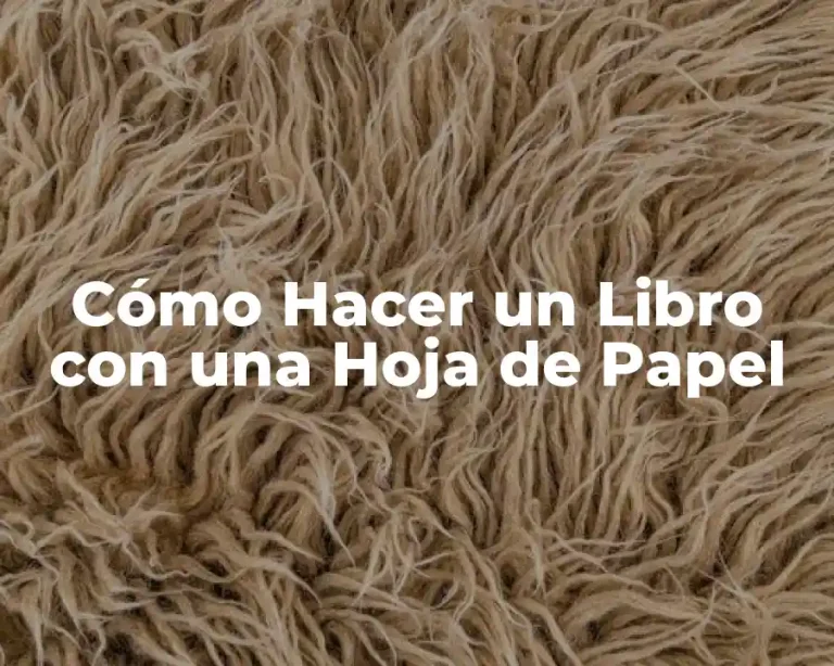 Cómo Hacer un Libro con una Hoja de Papel