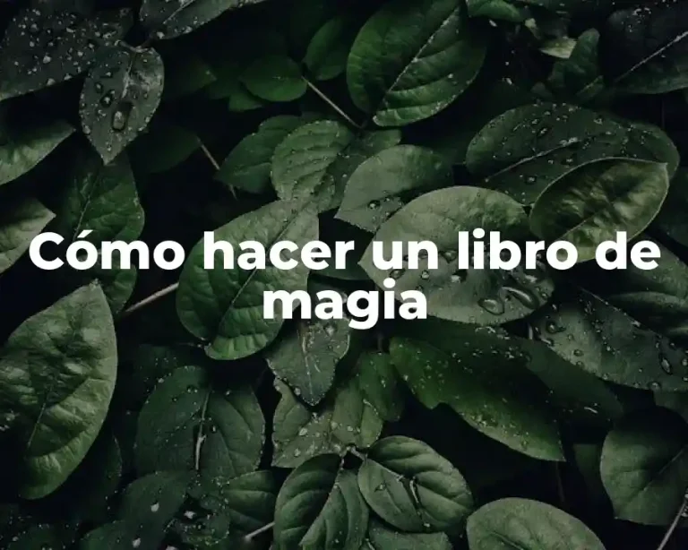 Cómo hacer un libro de magia