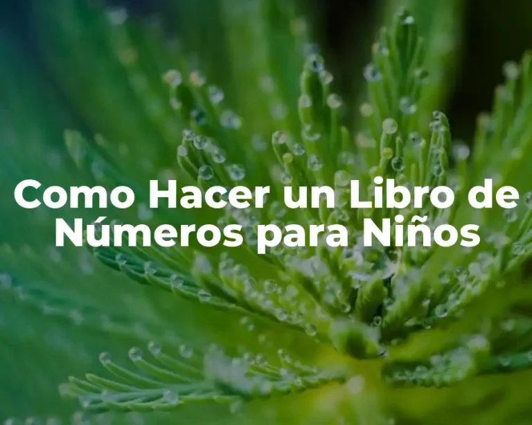 Como Hacer un Libro de Números para Niños
