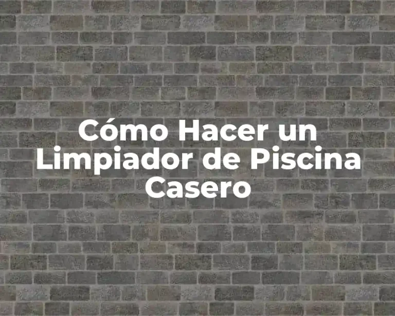 Cómo Hacer un Limpiador de Piscina Casero
