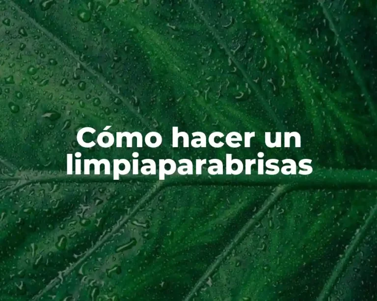 Cómo hacer un limpiaparabrisas