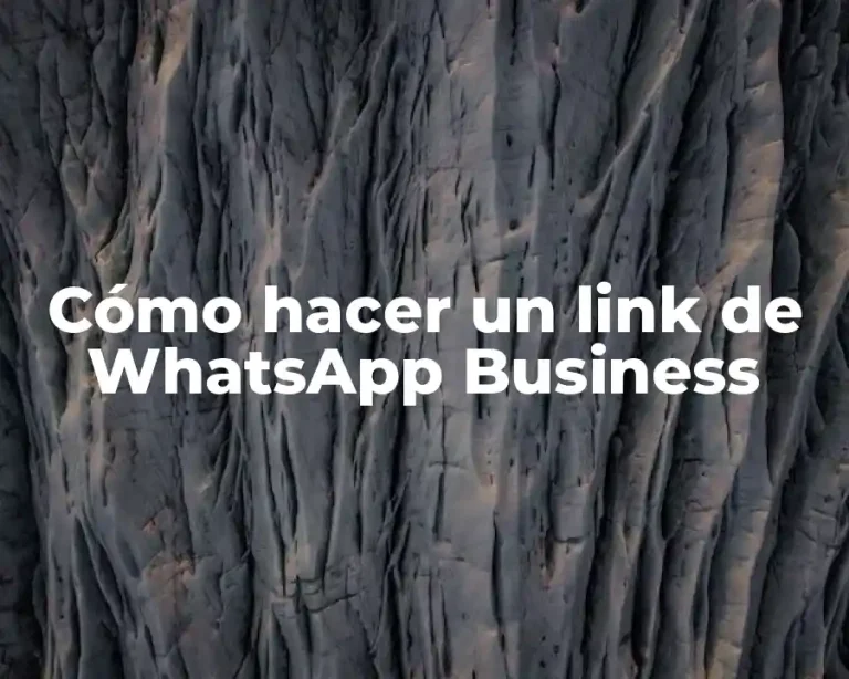 Cómo hacer un link de WhatsApp Business