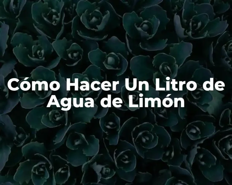 Cómo Hacer Un Litro de Agua de Limón