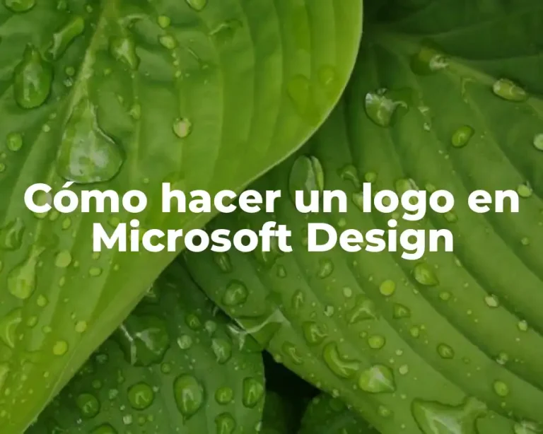 Cómo hacer un logo en Microsoft Design