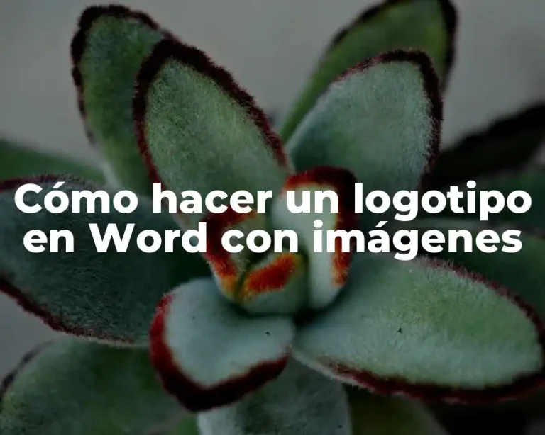 Cómo hacer un logotipo en Word con imágenes