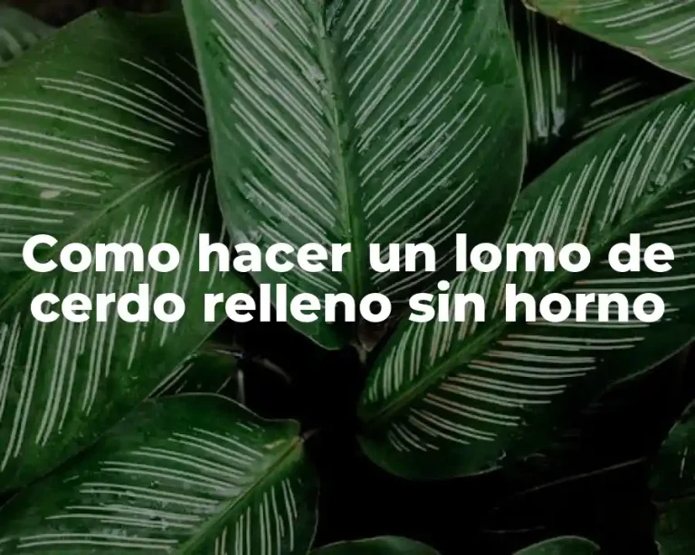 Como hacer un lomo de cerdo relleno sin horno