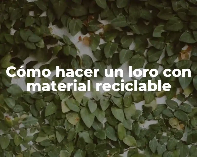 Cómo hacer un loro con material reciclable