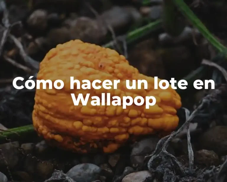 Cómo hacer un lote en Wallapop